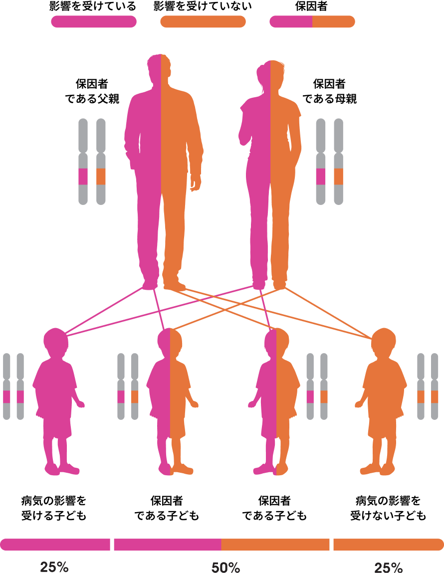 長鎖脂肪酸代謝異常症（LC-FAOD）と遺伝の関係の図