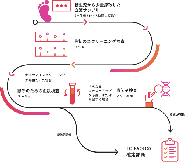 長鎖脂肪酸代謝異常症（LC-FAOD）の新生児マススクリーニングとその他の検査について